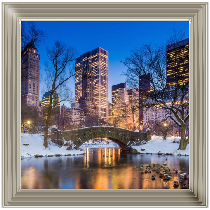 C568 Winter City