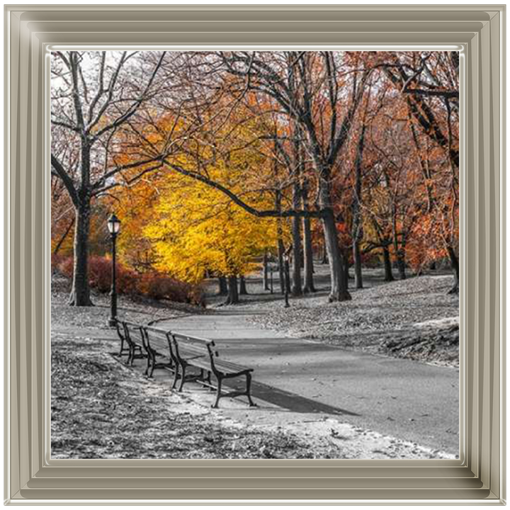 FTBR-1631 New York Yellow Trees in Central Park Assaf Frank