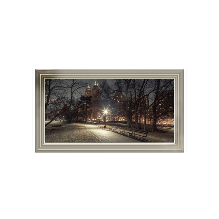 Path in cental park at night, winter, snow, New York. Assaf Frank