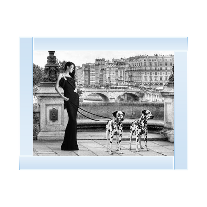 FG016 Dalmatians