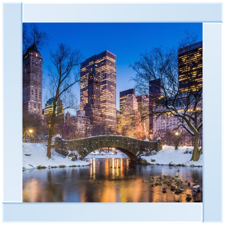 C568 Winter City