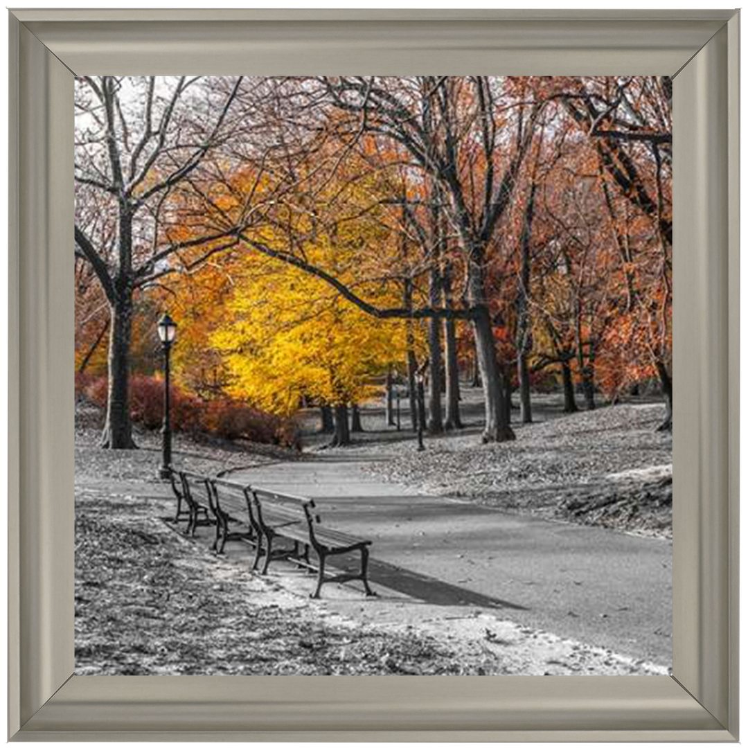 FTBR-1631 New York Yellow Trees in Central Park Assaf Frank