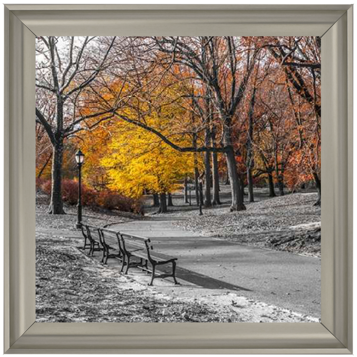 FTBR-1631 New York Yellow Trees in Central Park Assaf Frank