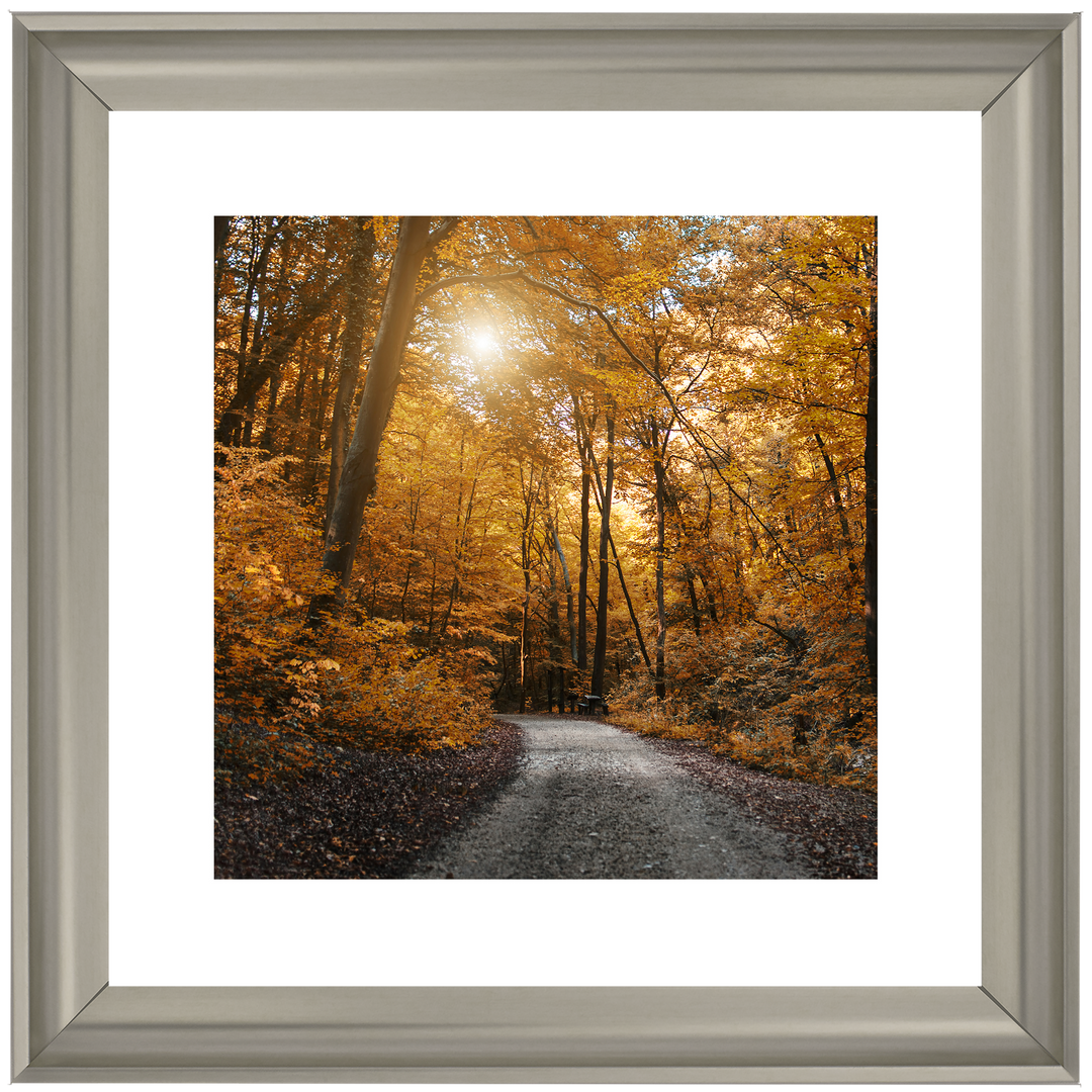 Walkway through yellow leafs