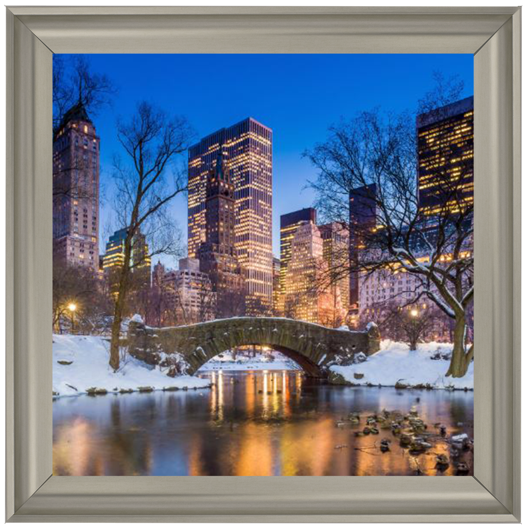 C568 Winter City