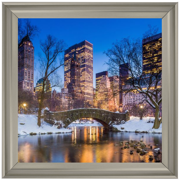 C568 Winter City