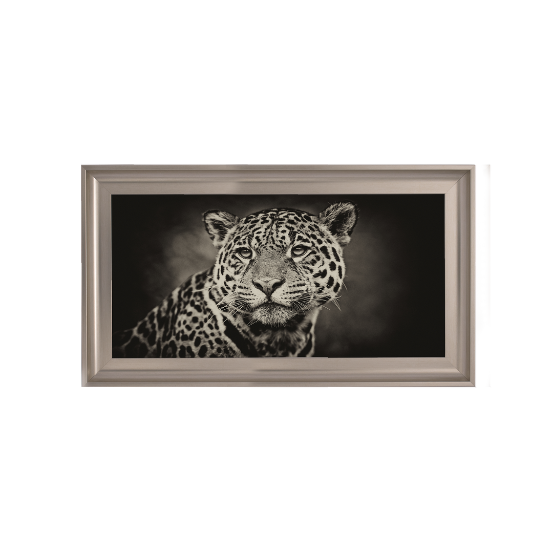 Cheetah in black and white 2
