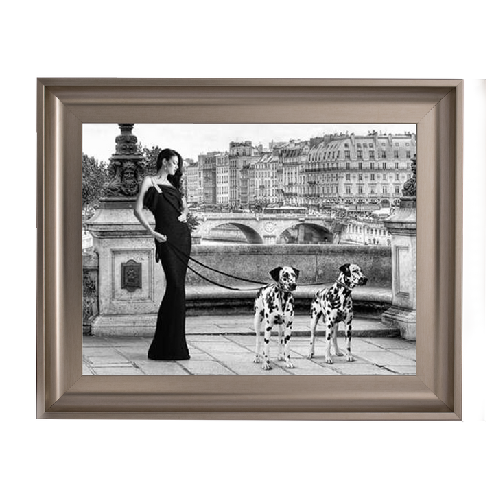 FG016 Dalmatians