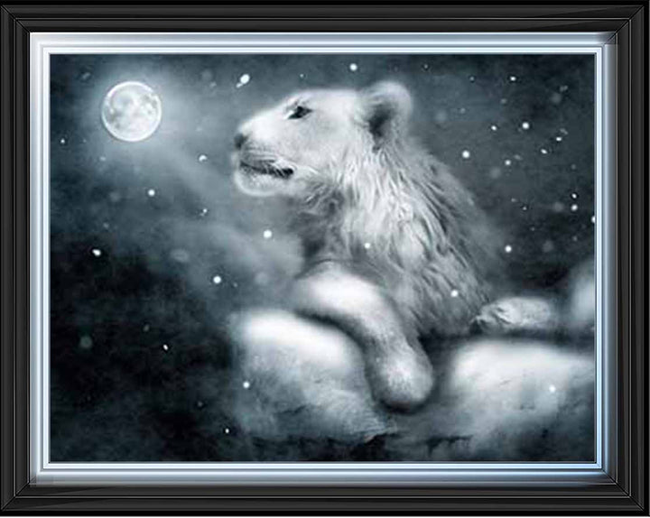 AN761 Lion On Rock Night