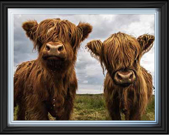 AN753 Twins Red Cow