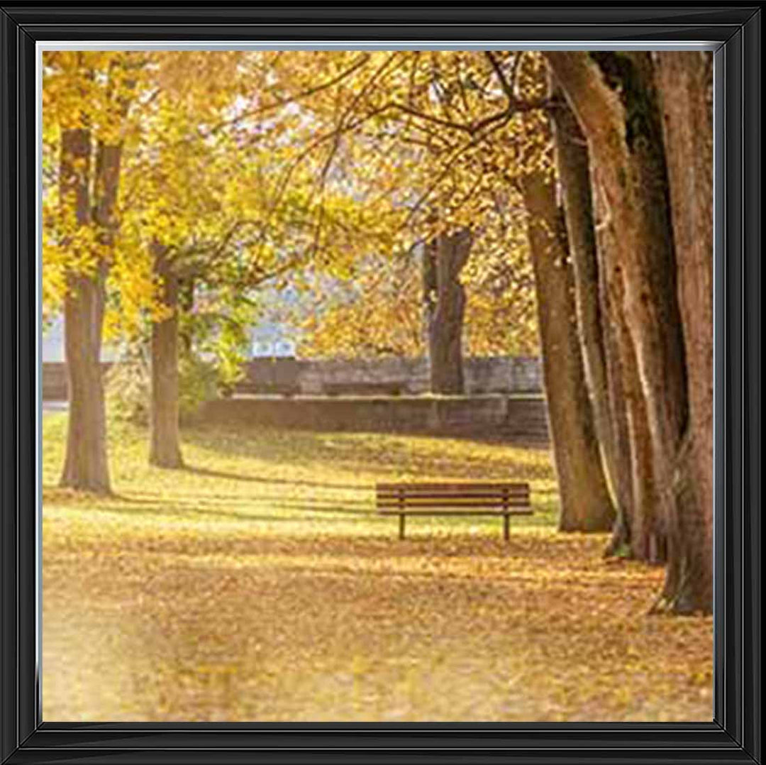 LS352 AUTUMN PARK YELLOW TREE