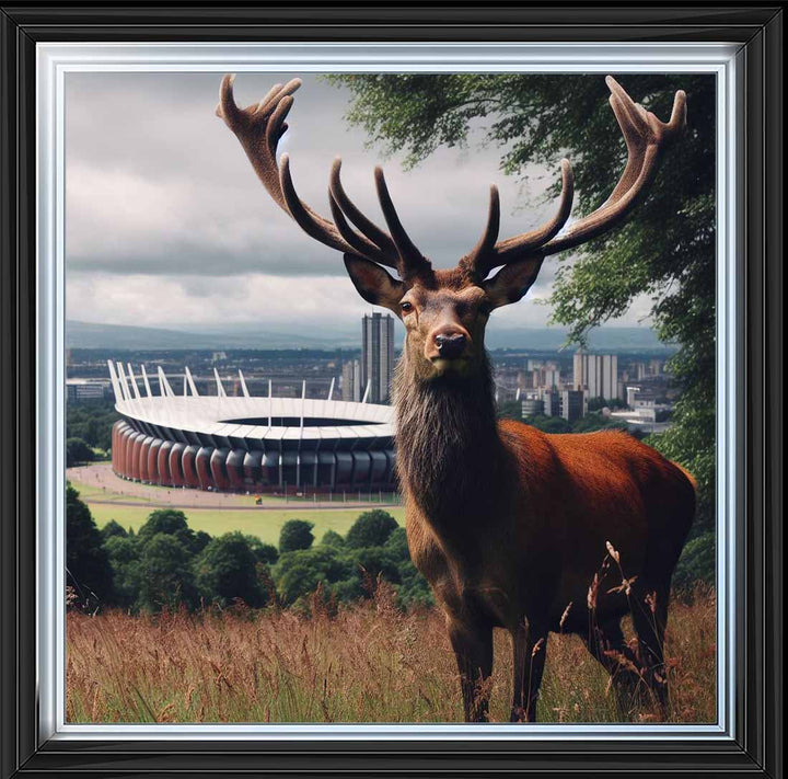 AN1108 STAG AT STADIUM