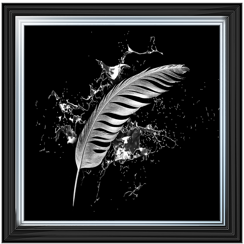 Silver Feather