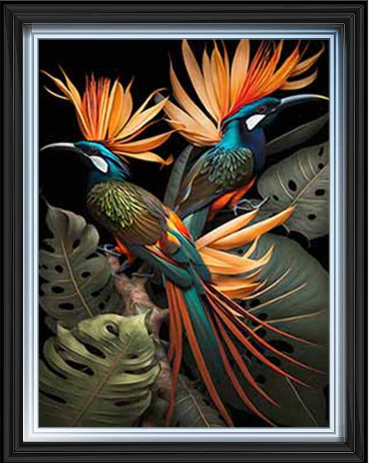 AN1053 Birds From Paradise ||