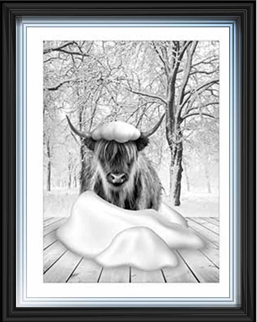 AN750-B&W Highland cow on Winter Snow l