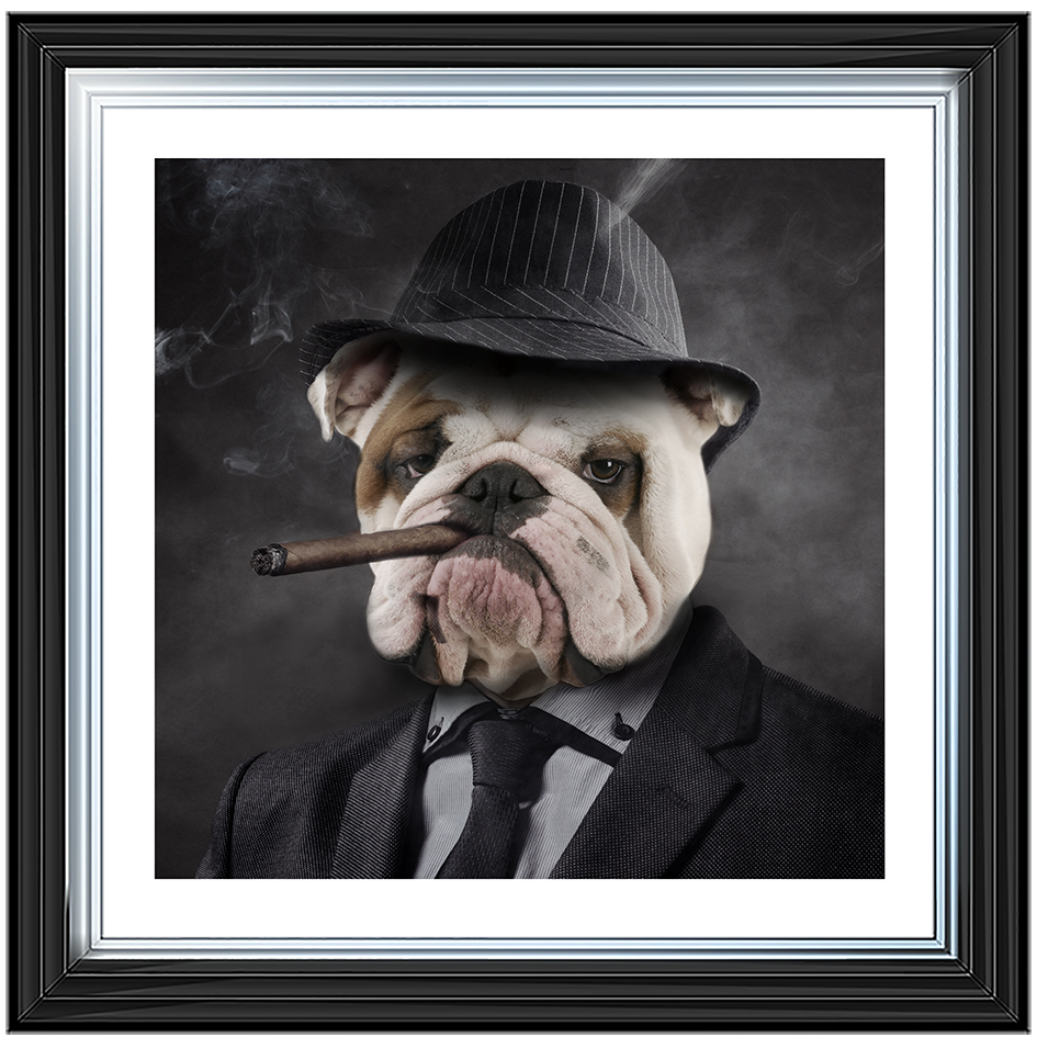 AN183 Gangster Bulldog (border)