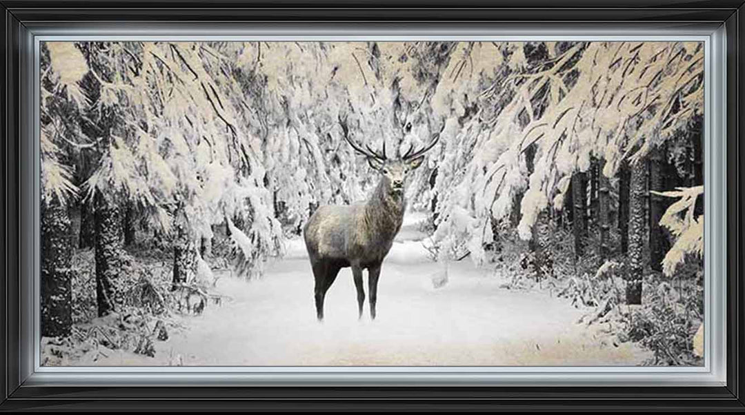 AN770 Dear on winter snow lll