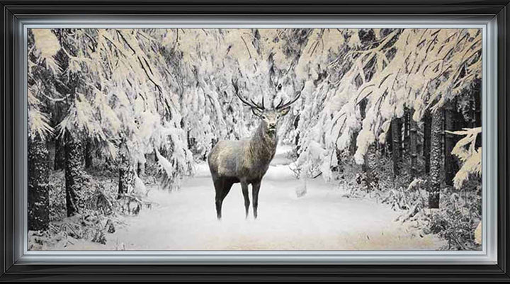 AN770 Dear on winter snow lll