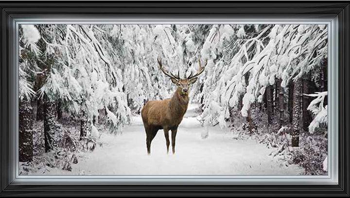 AN756 Stag in the Winter Snow