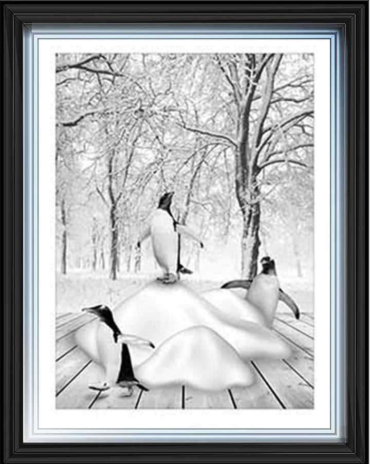 AN746-B&W Pandas on Winter Snow l
