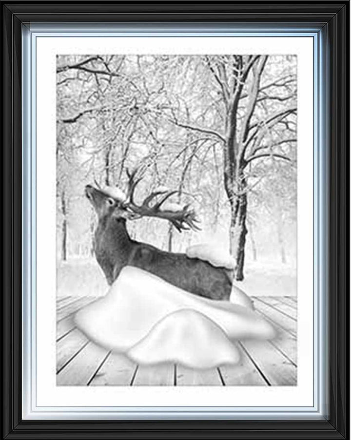AN749-B&W Dear on Winter Snow l