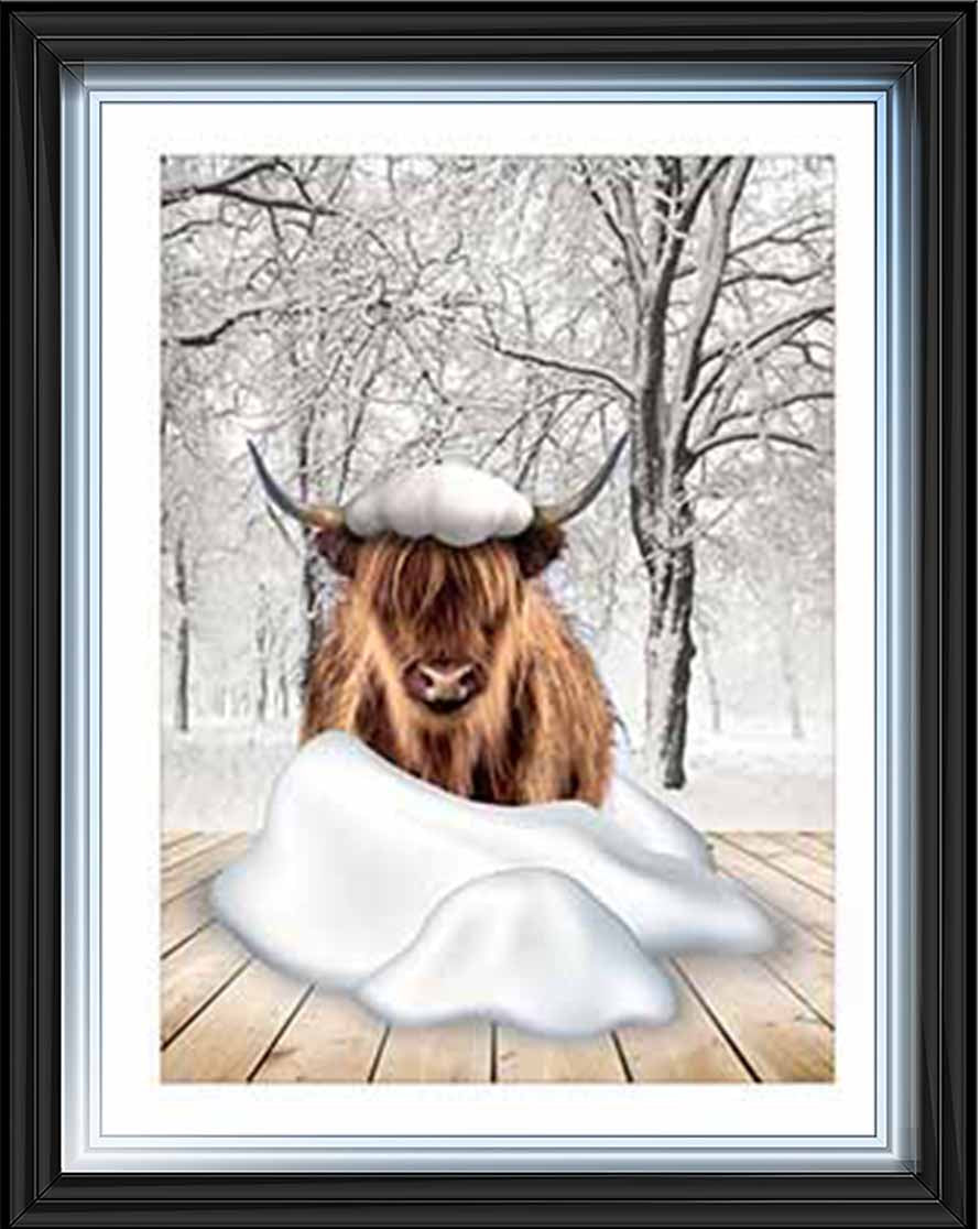 AN750-C Highland cow on Winter Snow ll
