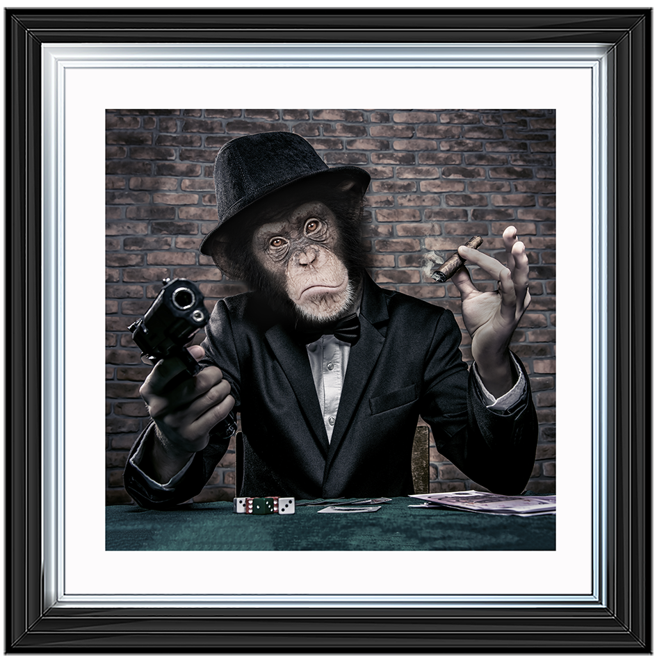 AN178  Gangster Chimp
