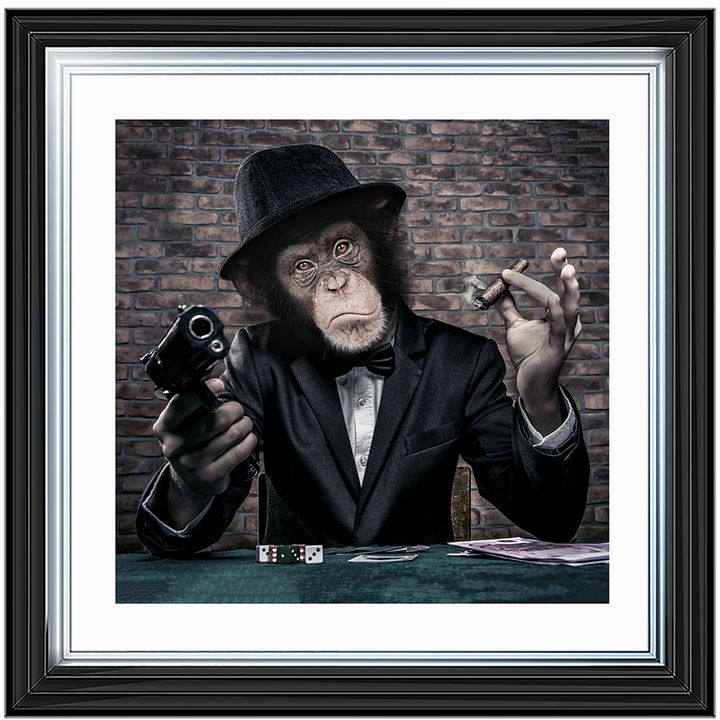 AN178  Gangster Chimp