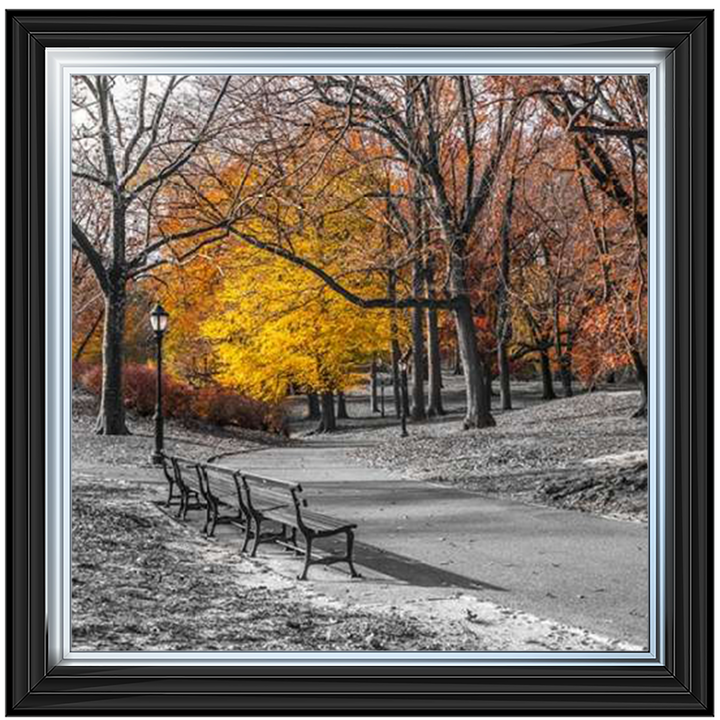 FTBR-1631 New York Yellow Trees in Central Park Assaf Frank