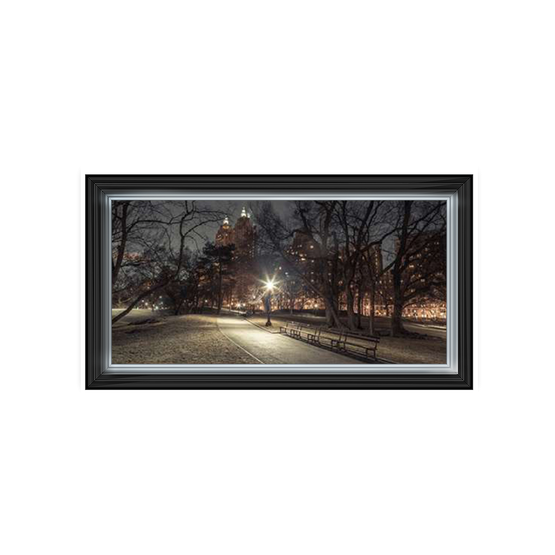 Path in cental park at night, winter, snow, New York. Assaf Frank