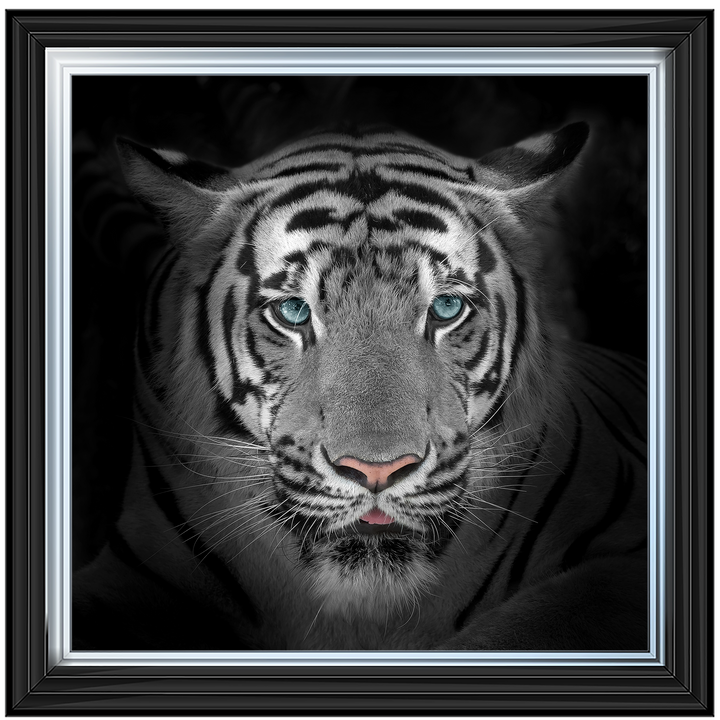FTST167 Blue Eyes Tiger II