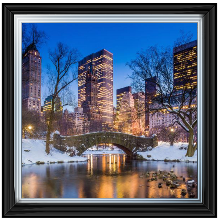 C568 Winter City