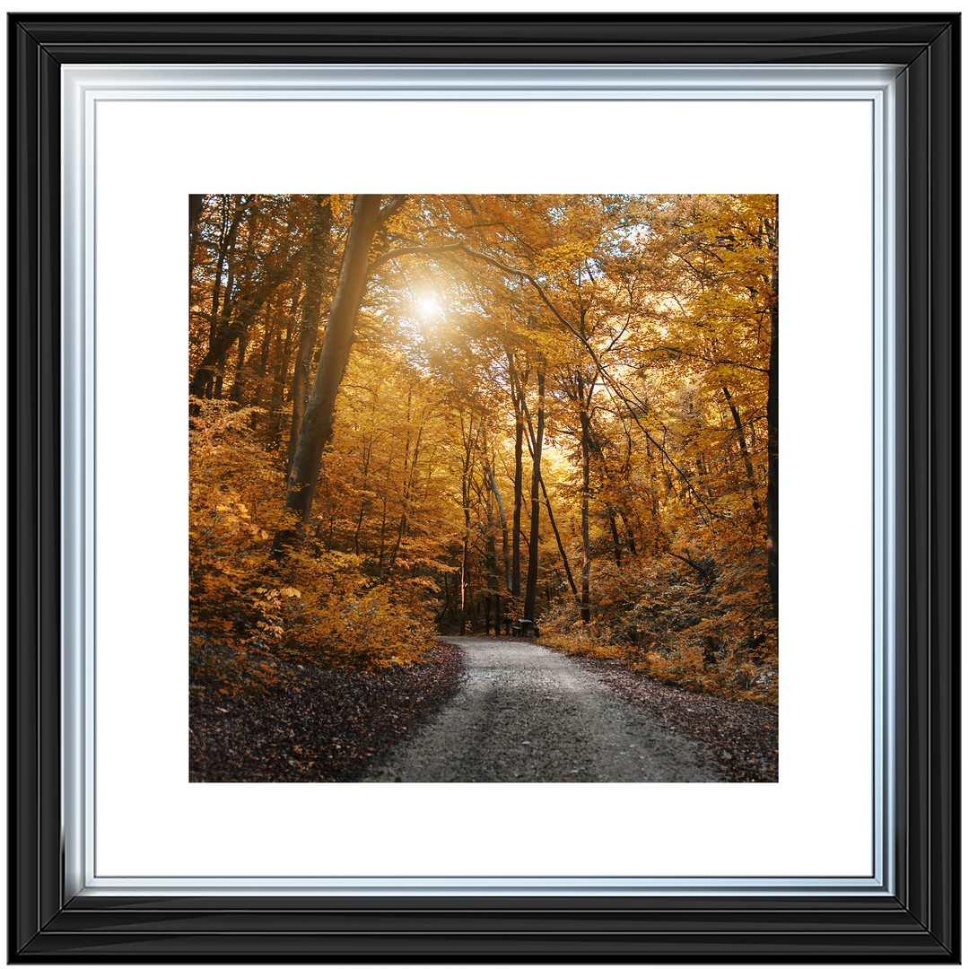 Walkway through yellow leafs