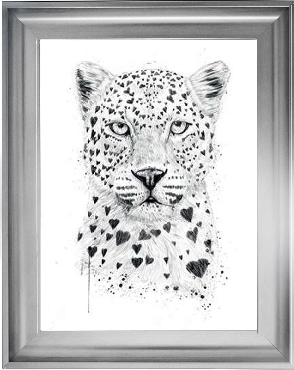 Tiger Love