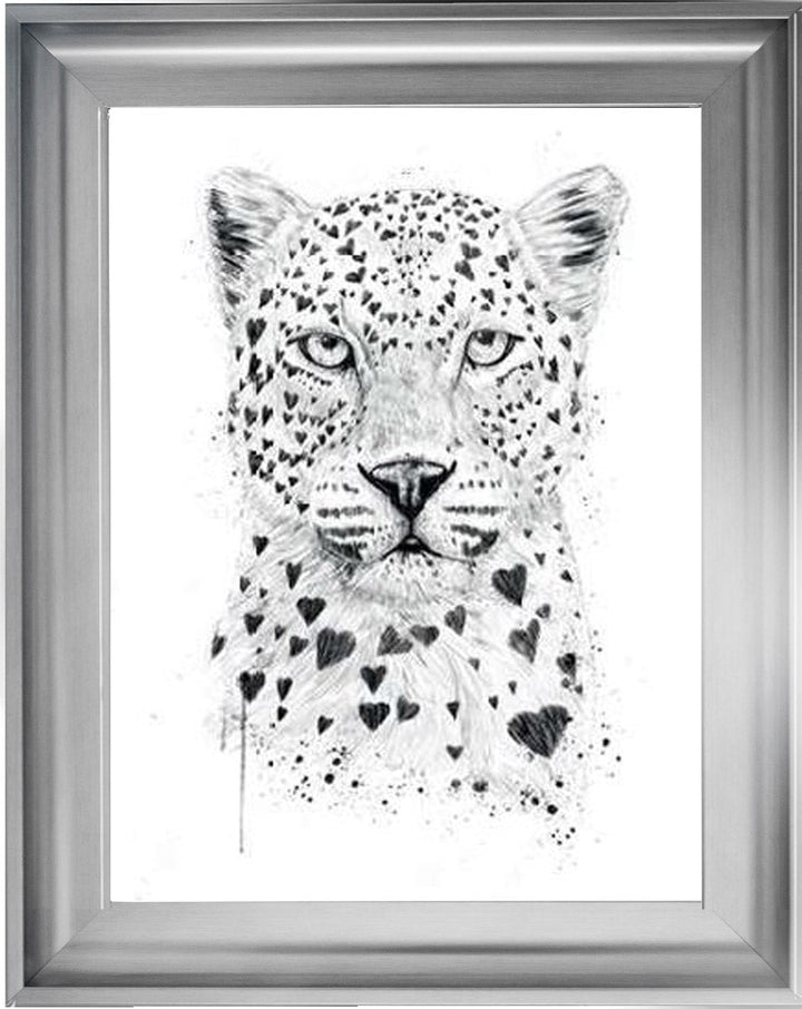 Tiger Love