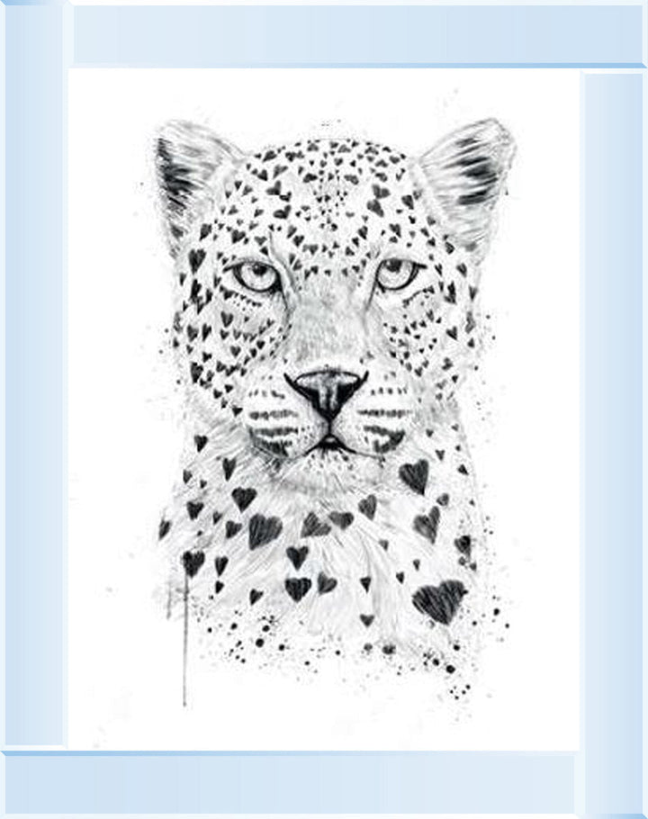 Tiger Love