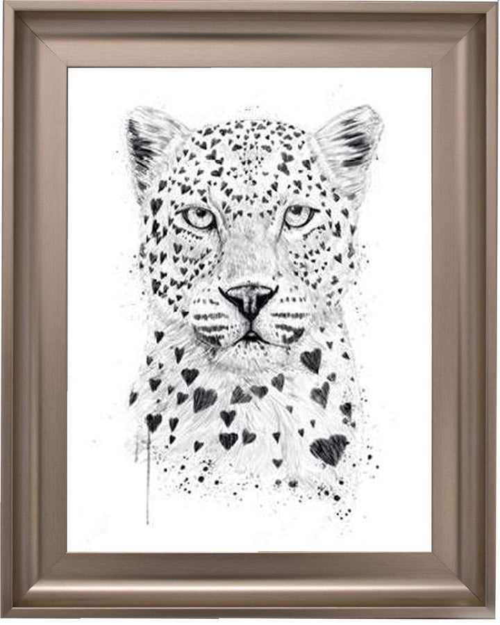 Tiger Love