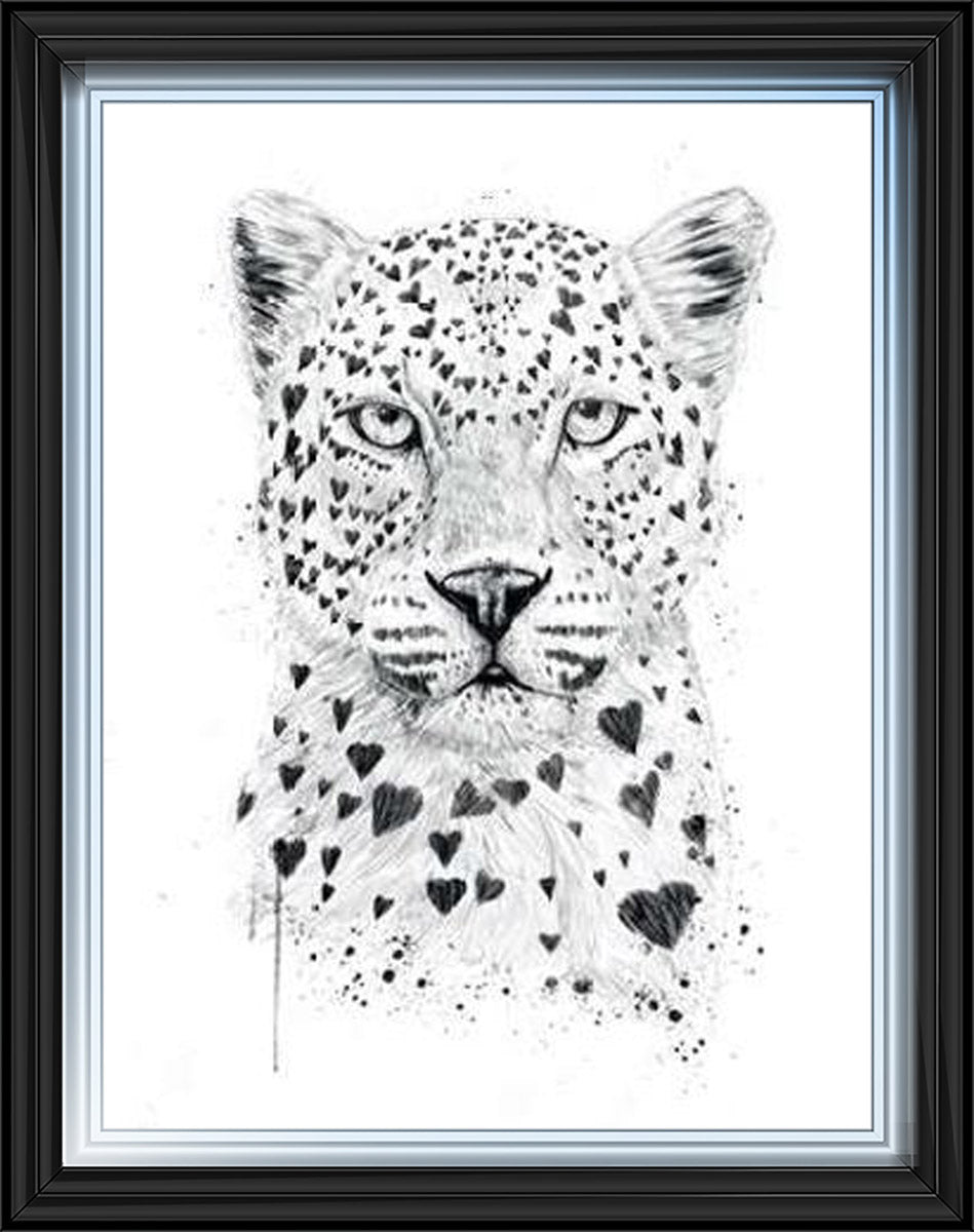 Tiger Love