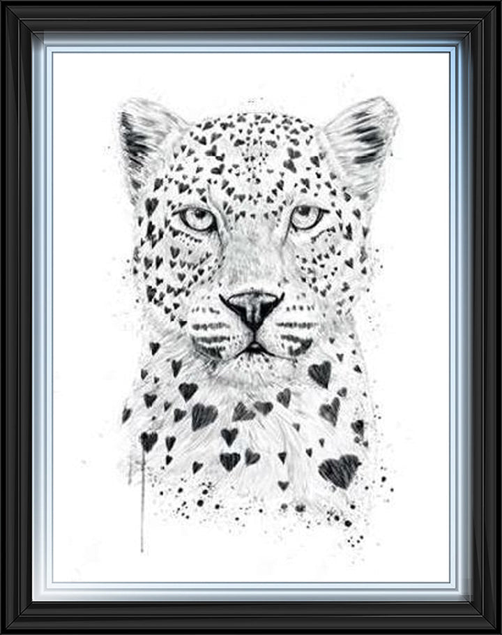 Tiger Love