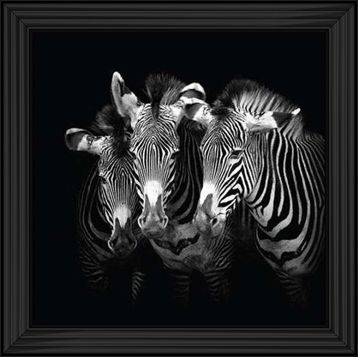 WDC98073 Zebra Triptych