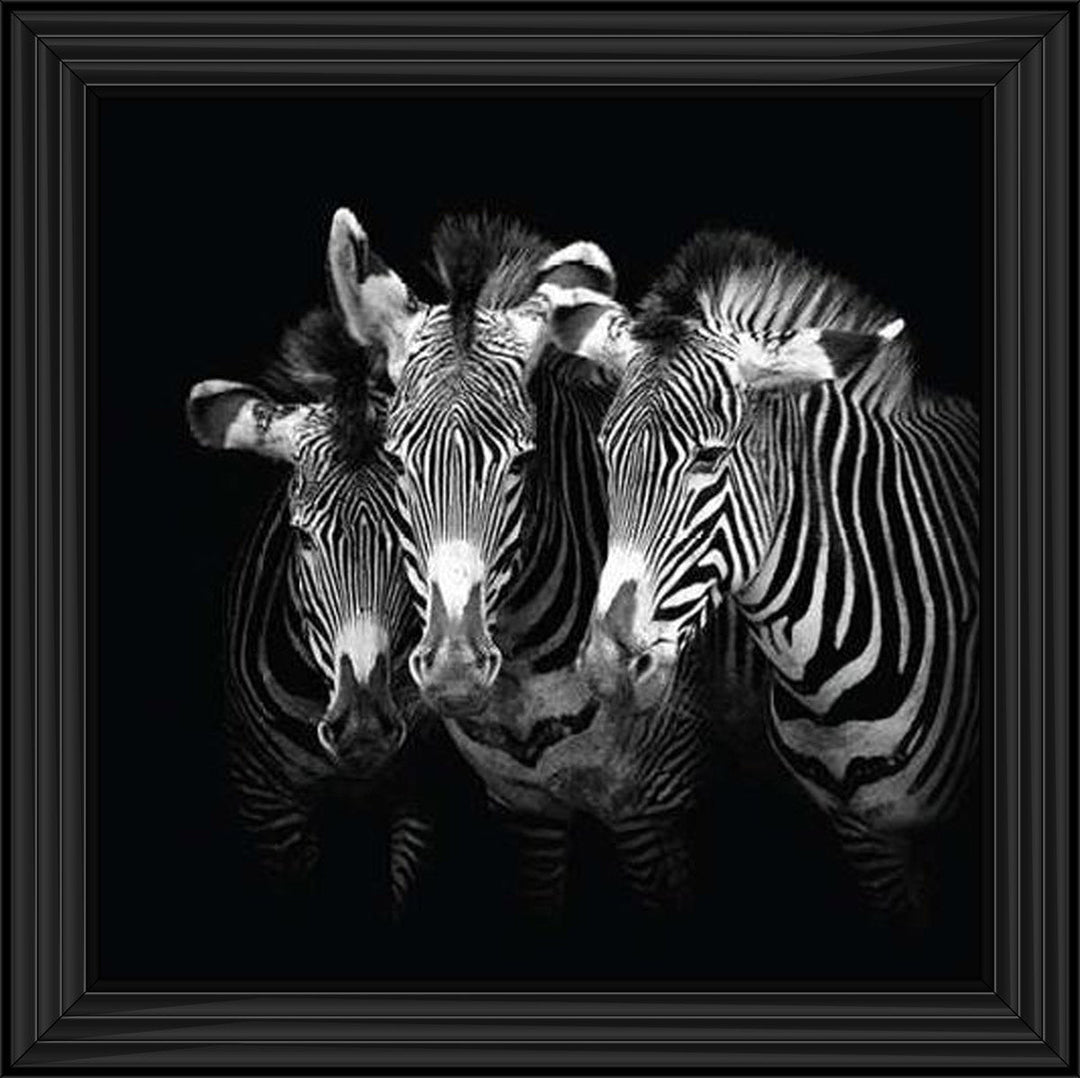 WDC98073 Zebra Triptych