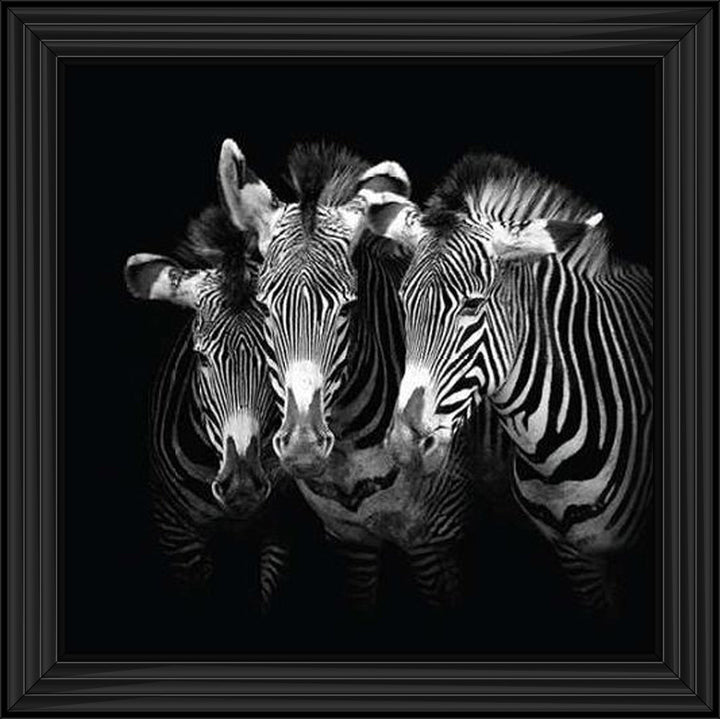 WDC98073 Zebra Triptych