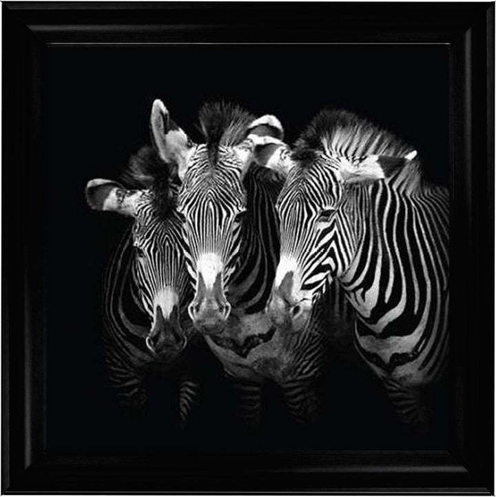 WDC98073 Zebra Triptych