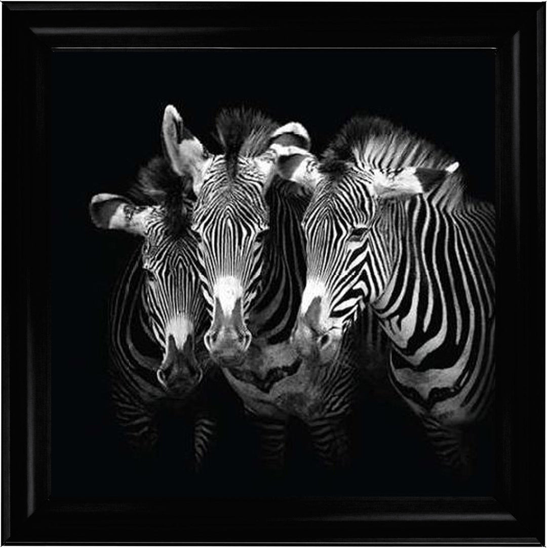 WDC98073 Zebra Triptych