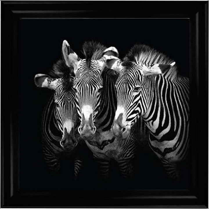 WDC98073 Zebra Triptych