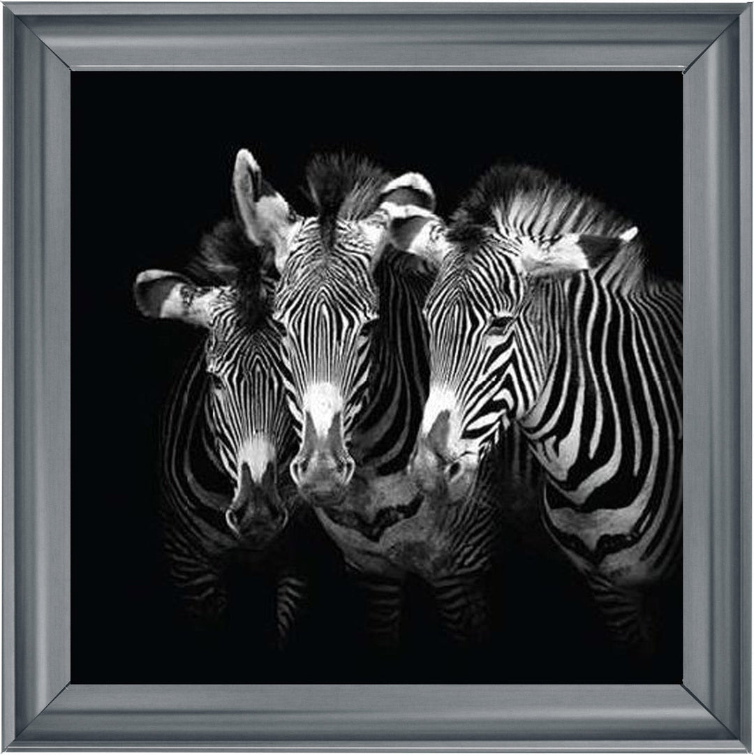 WDC98073 Zebra Triptych