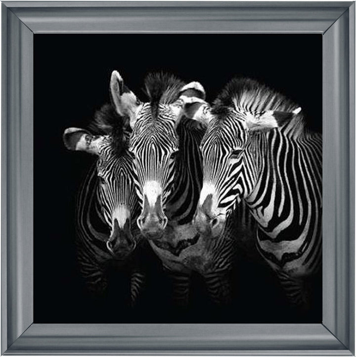 WDC98073 Zebra Triptych