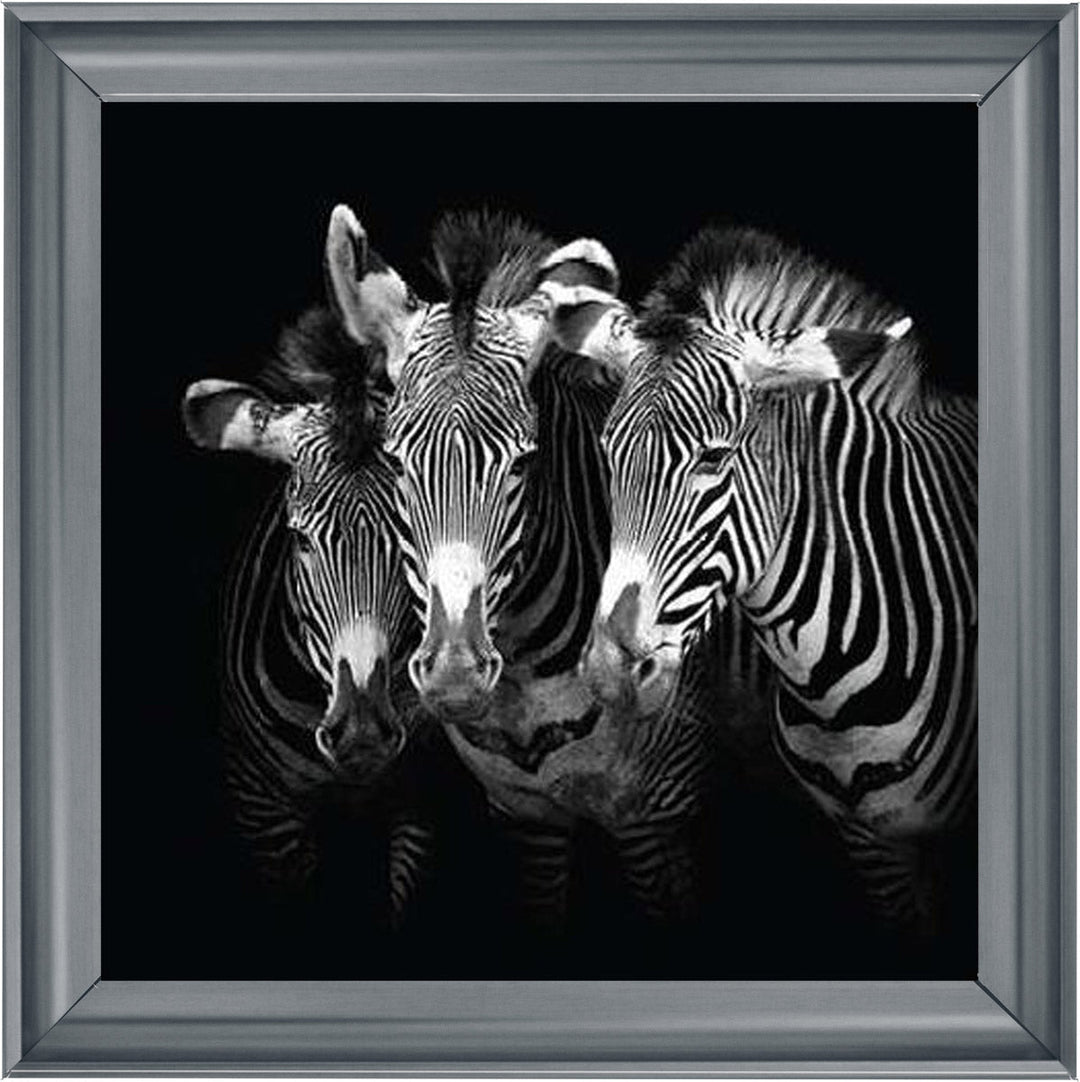 WDC98073 Zebra Triptych