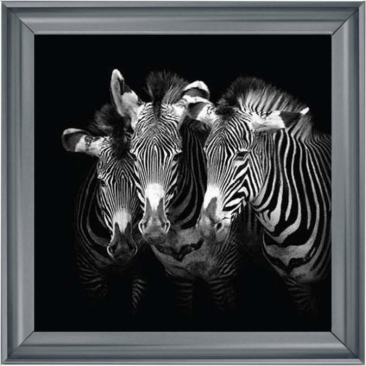 WDC98073 Zebra Triptych