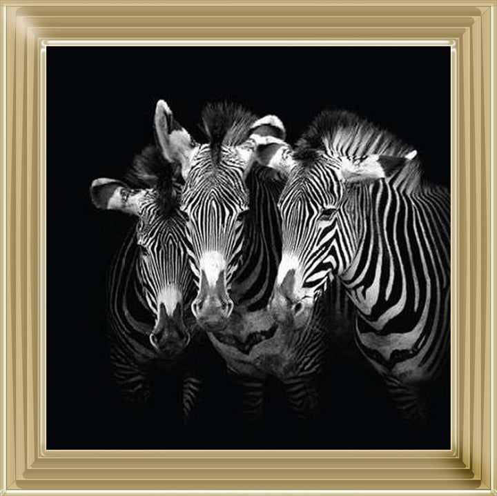 WDC98073 Zebra Triptych